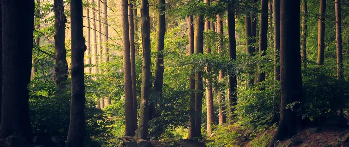 Les 10 meilleurs podcasts sur l'écologie